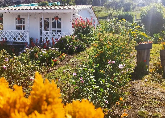 Campos De Elohim