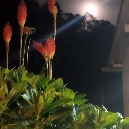 Campos De Elohim Villa Zipacon Exterior photo