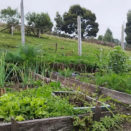 Campos De Elohim Villa Zipacon Exterior photo