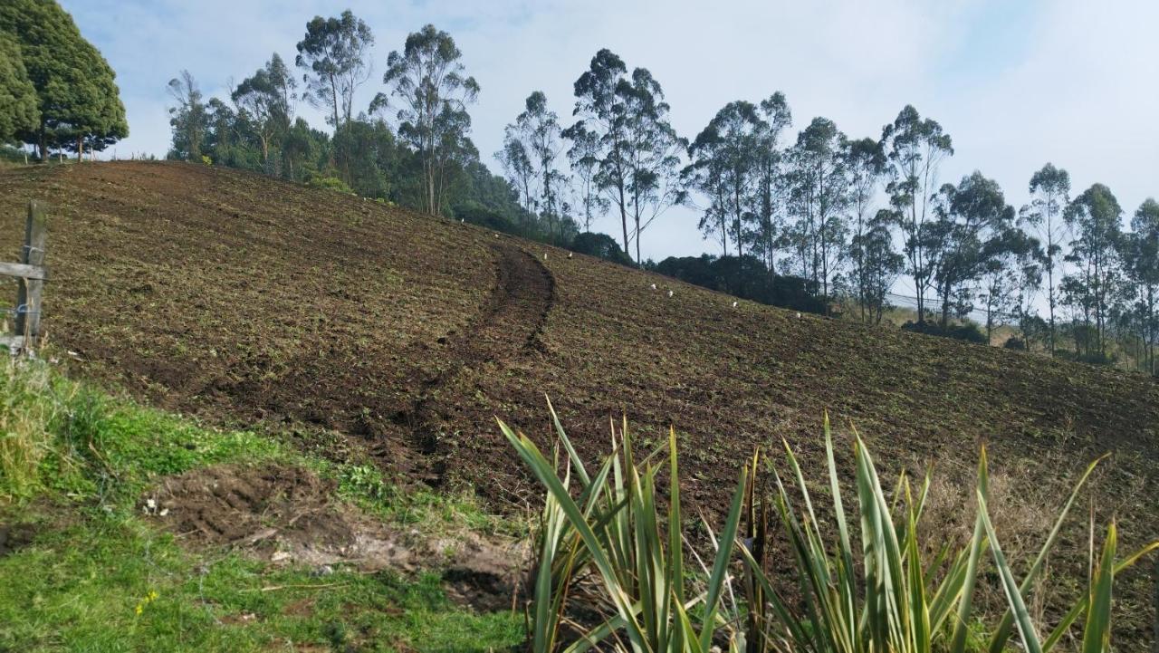 Campos De Elohim Holiday home *