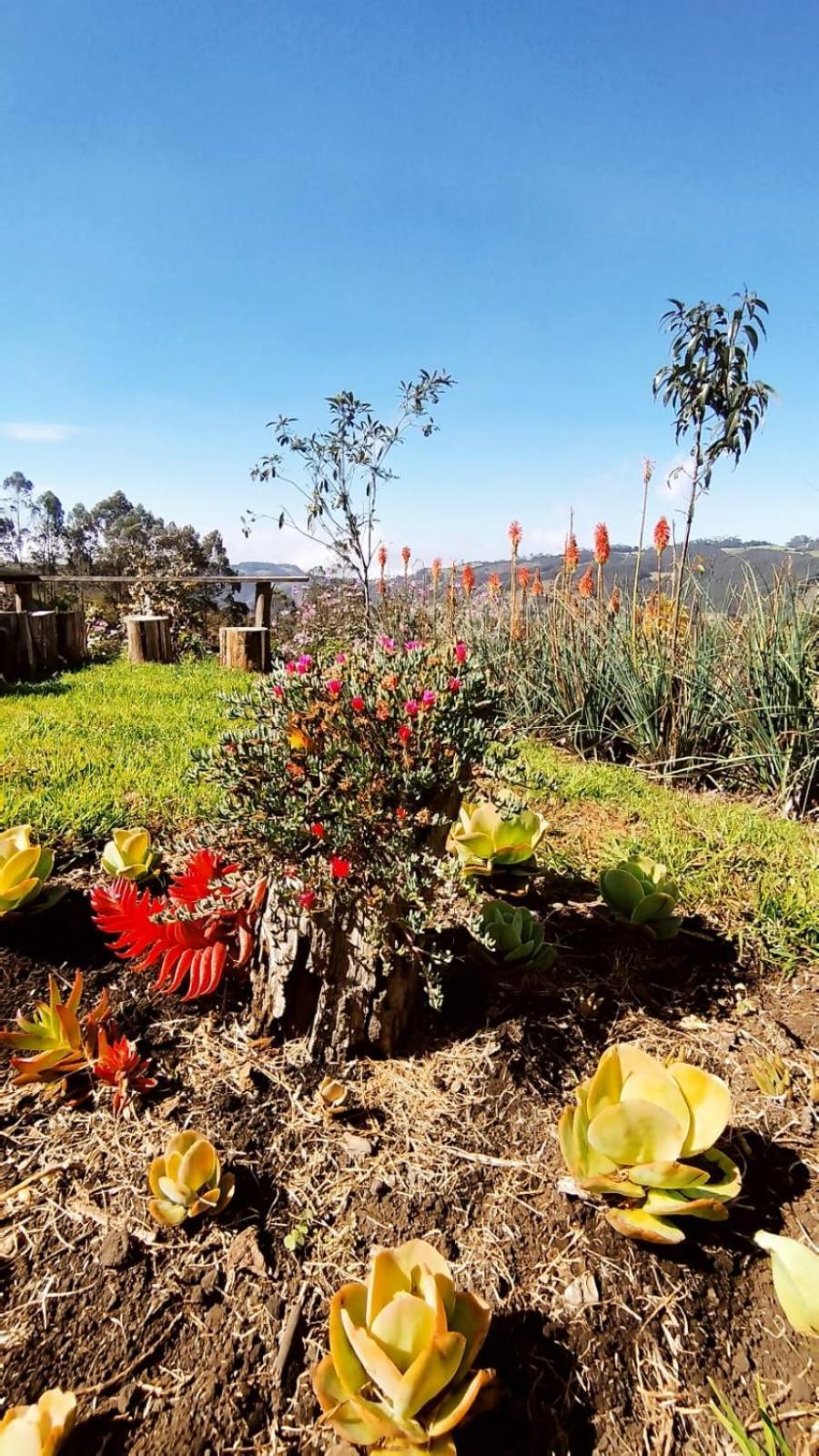 Holiday home Campos De Elohim Zipacon