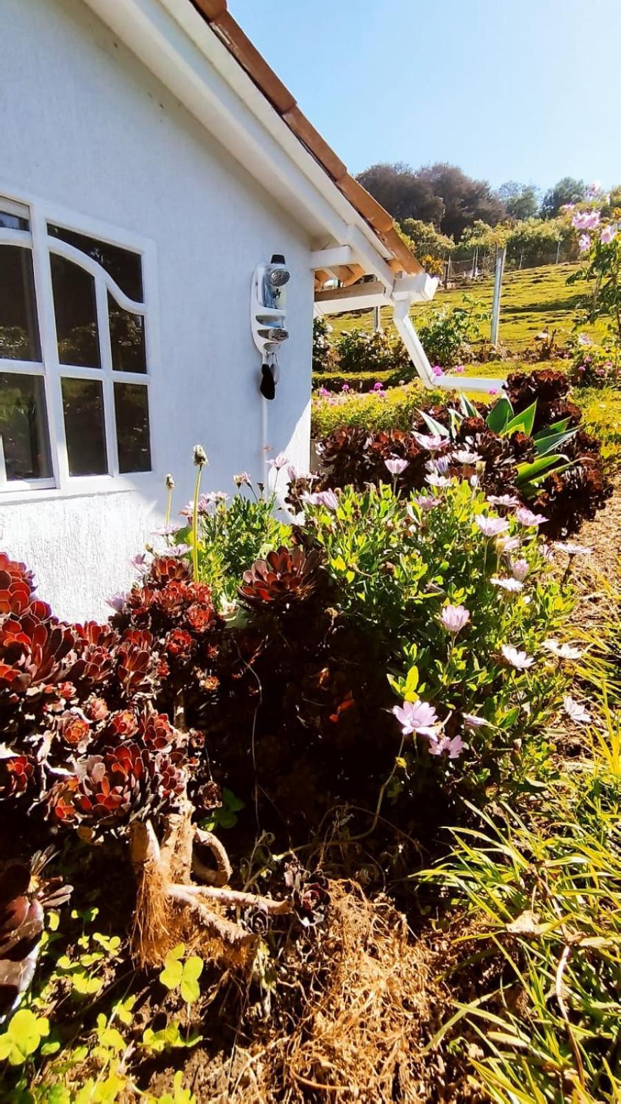 Holiday home Campos De Elohim